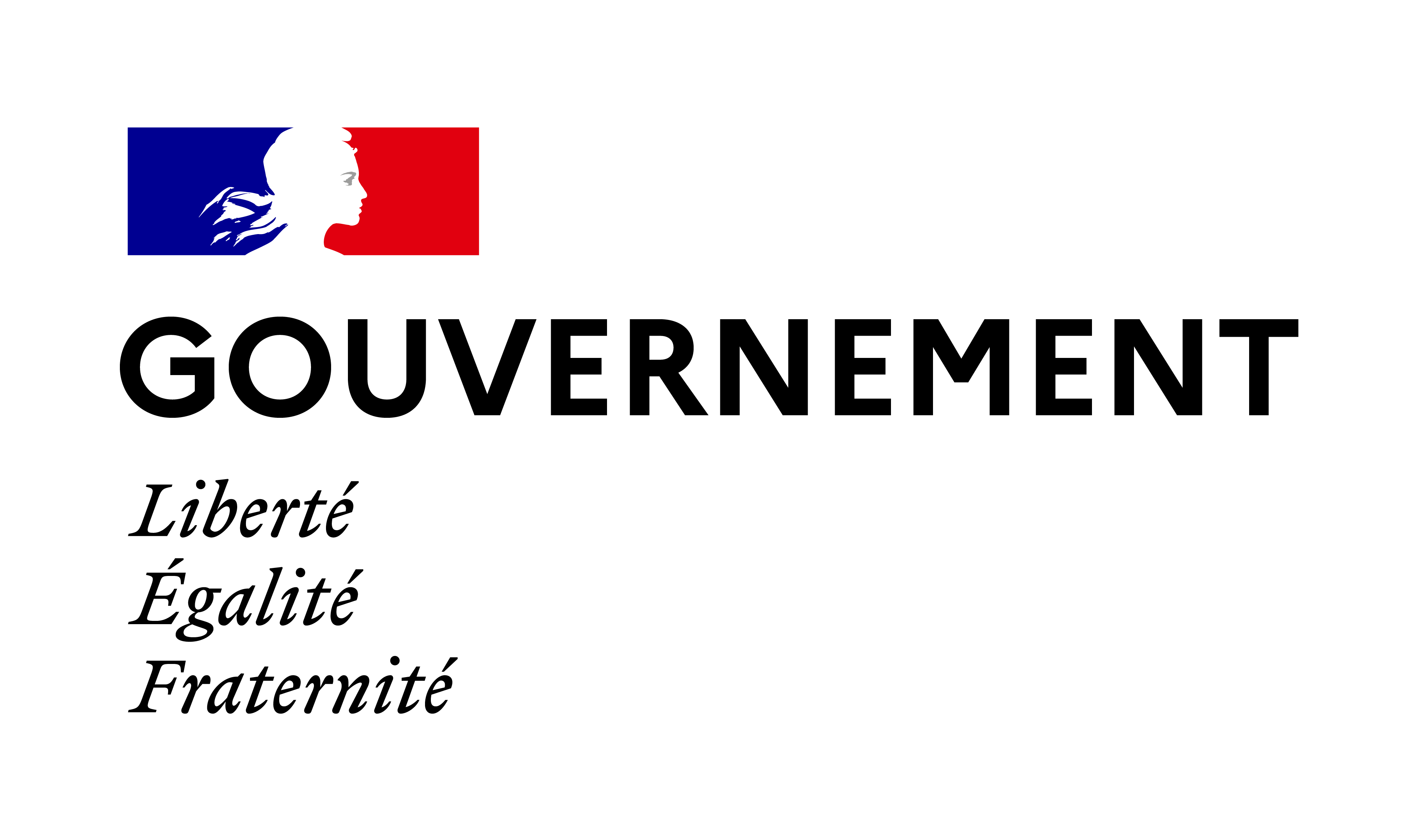 governement